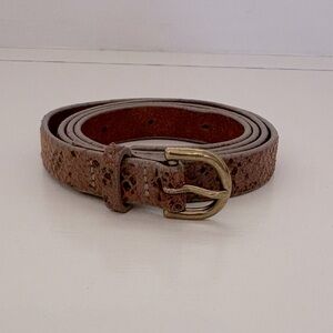 Wilfred Snakeskin Belt with Gold Buckle Sz Large
